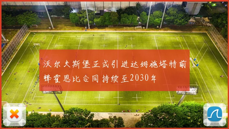 沃尔夫斯堡正式引进达姆施塔特前锋霍恩比合同持续至2030年