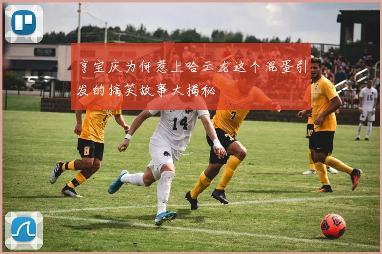 亨宝庆为何惹上哈云龙这个混蛋引发的搞笑故事大揭秘