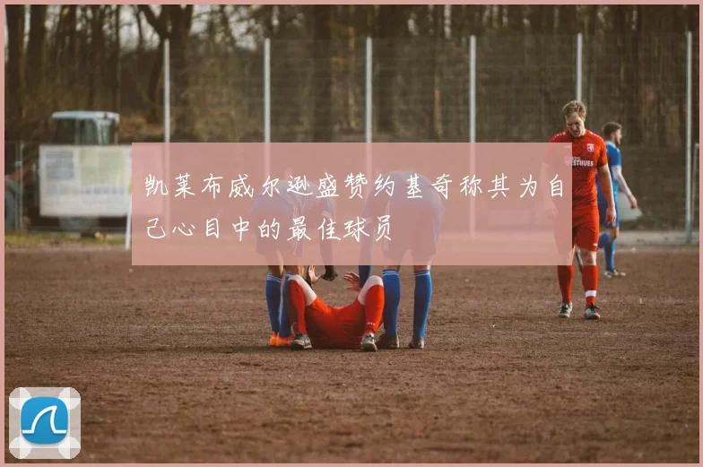 凯莱布威尔逊盛赞约基奇称其为自己心目中的最佳球员